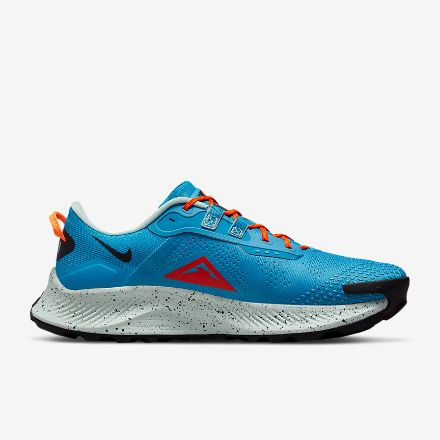 Nike Pegasus Trail 3