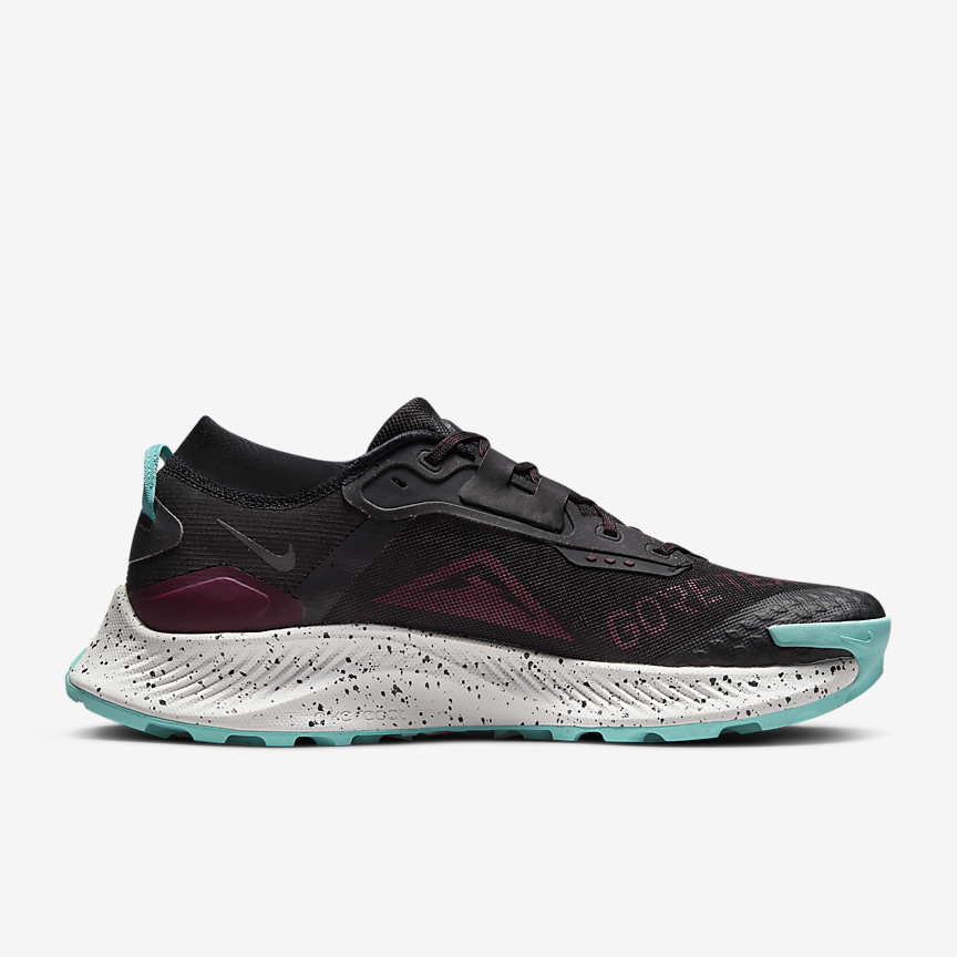 Nike Pegasus Trail 3 GORE-TEX