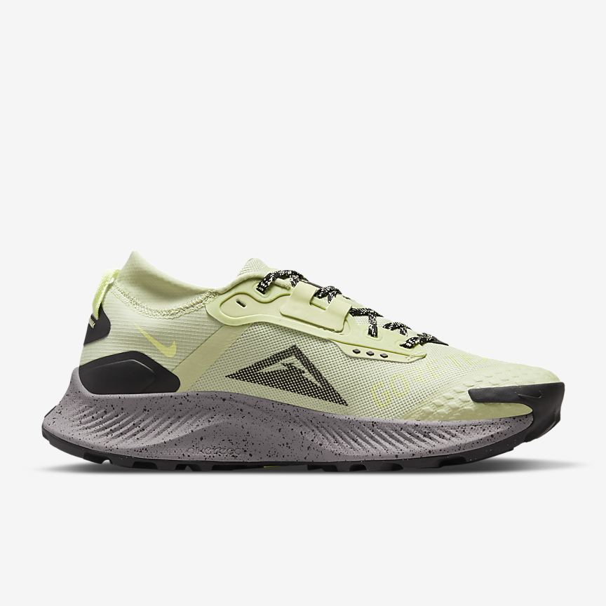 Nike Pegasus Trail 3 GORE-TEX - WOMEN