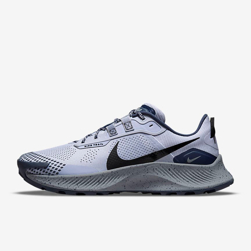 Nike Pegasus Trail 3